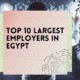 Top 10 Largest Employers in Egypt