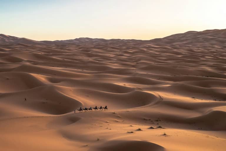 Arabic Customs and Culture: A Deep Look Into Arab Traditions and Values ...