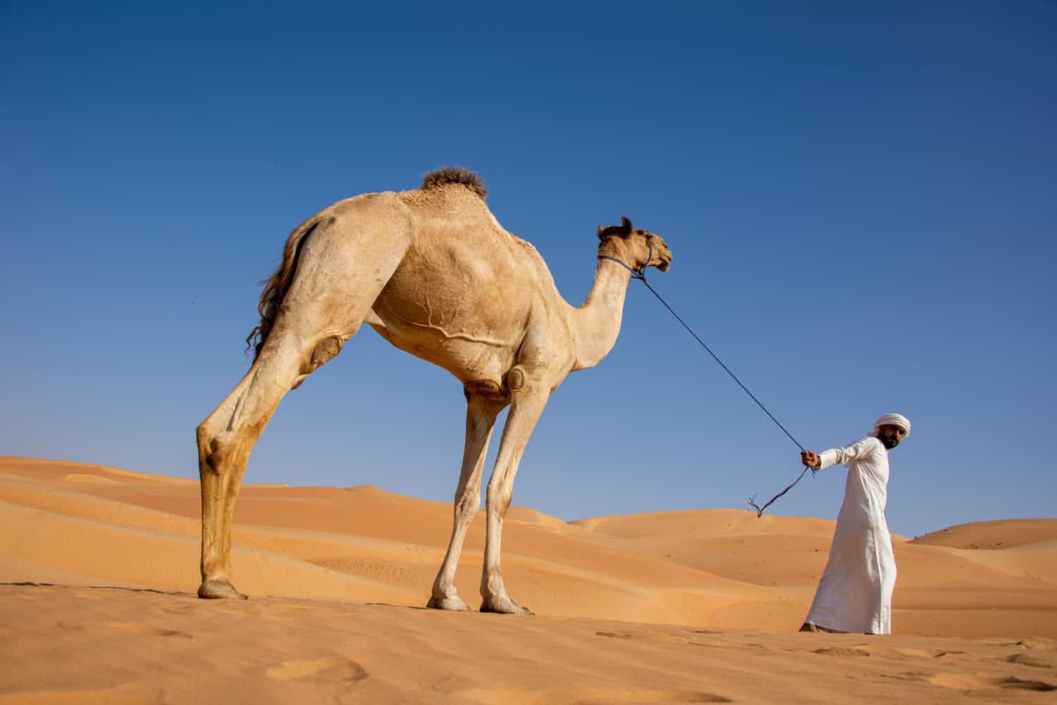 Arabic Customs and Culture: A Deep Look Into Arab Traditions and Values ...